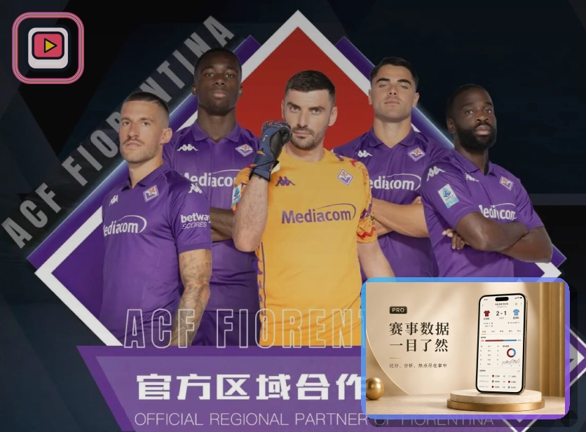 专业赛事组织